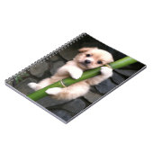 Carnet Caderno Espiral Gaejook 개 죽 이 (Côté gauche)