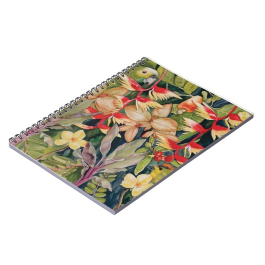 Carnet Caderno papagaio (Côté gauche)