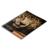 Carnet Caderno Via Pantanal Onça (Côté gauche)