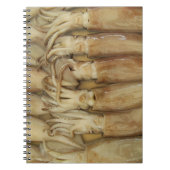 Carnet Calamari (Devant)