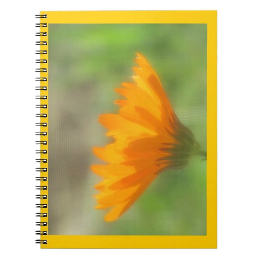 Carnet - Calendula (Devant)