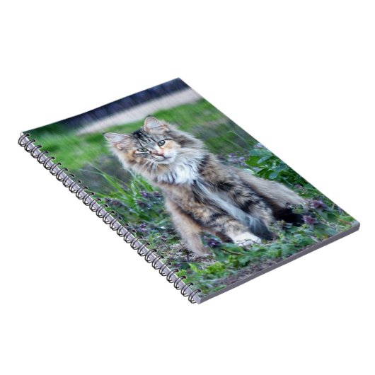 Carnet Calico Cat (Côté Droit)