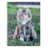 Carnet Calico Cat (Devant)