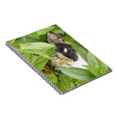 Carnet Calico Cat dans les Zinnias (Côté Droit)