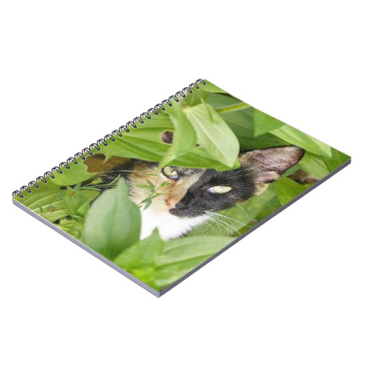 Carnet Calico Cat dans les Zinnias (Côté gauche)