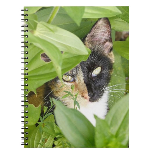 Carnet Calico Cat dans les Zinnias (Devant)