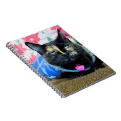 Carnet Calico Ier (Côté Droit)