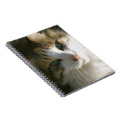 Carnet Calico Tiger Kitty (Côté Droit)