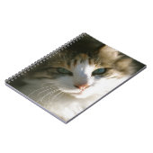 Carnet Calico Tiger Kitty (Côté gauche)