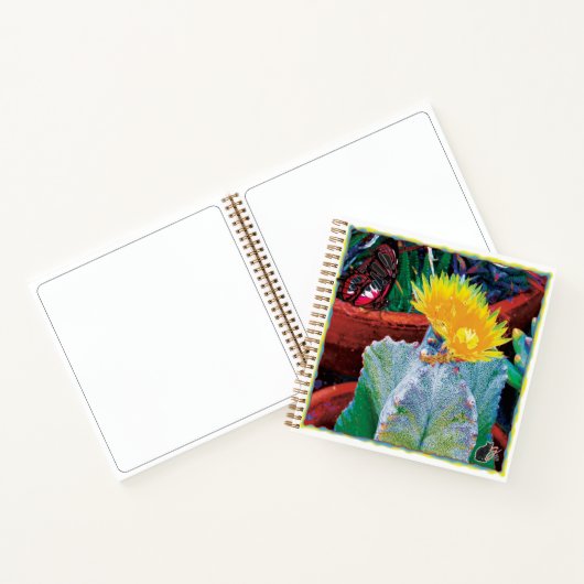 Carnet Caliente Cactus (Intérieur)