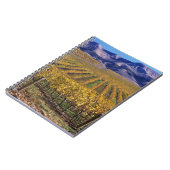 Carnet Californie, Comté de San Luis Obispo, vallée de l' (Côté gauche)