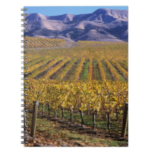 Carnet Californie, comté de San Luis Obispo, vallée d'Edn