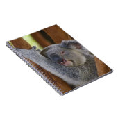 Carnet câlin d'ours de koala (Côté Droit)