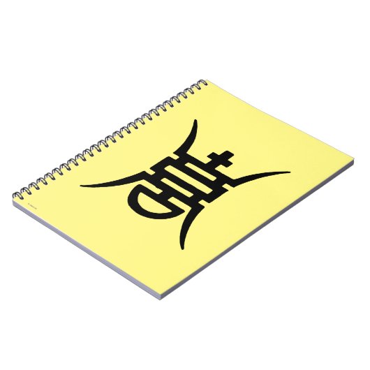 Carnet Calligraphie : Chinois (Côté gauche)