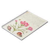 CARNET CALLIGRAPHIE SPIDER PÈRE NOËL FLOWER DOMAIN PUBLIC (Côté gauche)