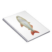Carnet Camapuã (Côté Droit)