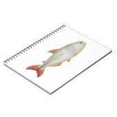 Carnet Camapuã (Côté gauche)
