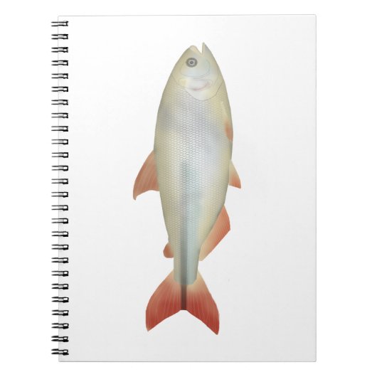 Carnet Camapuã (Devant)