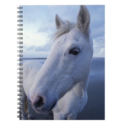 Carnet Camargue Horse (Devant)