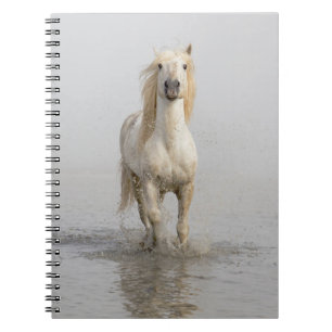 Carnet Camargue Horse Running in Water