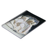 Carnet Camée dépeignant Cosimo de Medici (1519-74) et (Côté gauche)