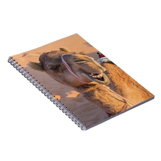 Carnet Camel avec une drôle d'expression faciale - Oman (Côté Droit)
