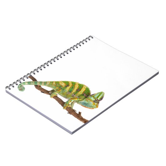 Carnet Caméléon (Côté gauche)