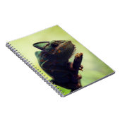Carnet caméléon, reptile, animal (Côté Droit)