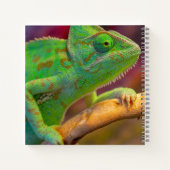 Carnet Caméléon Vert (Dos)