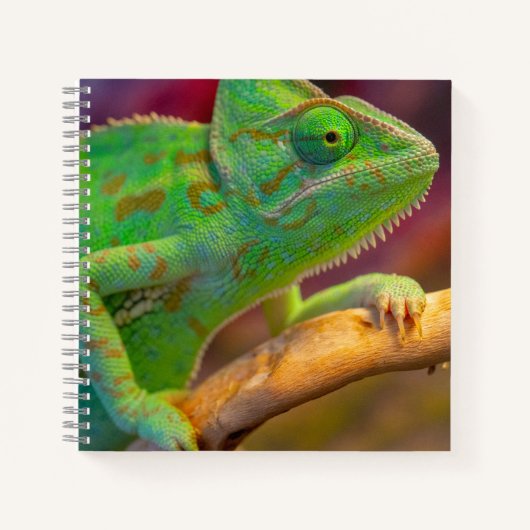 Carnet Caméléon Vert (Devant)