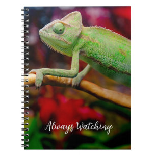 Carnet Caméléon vert sur la branche