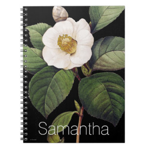 Carnet Camélia blanc