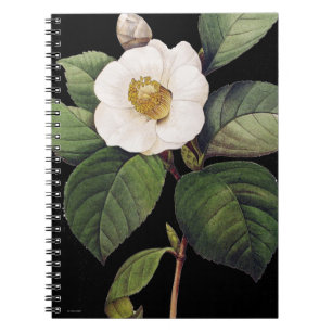 Carnet Camélia blanc
