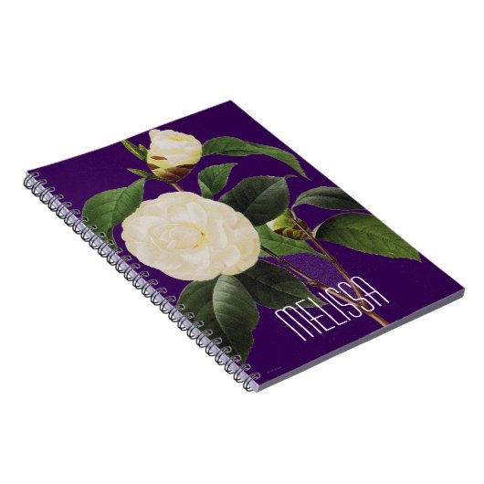 Carnet Camélia blanc, 1833 (Côté Droit)