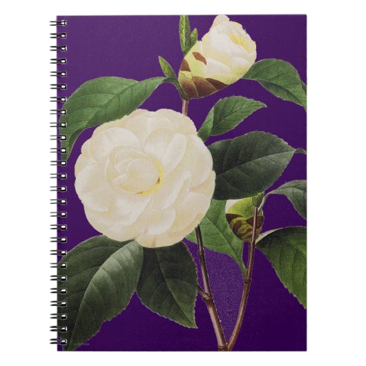 Carnet Camélia blanc, 1833 (Devant)