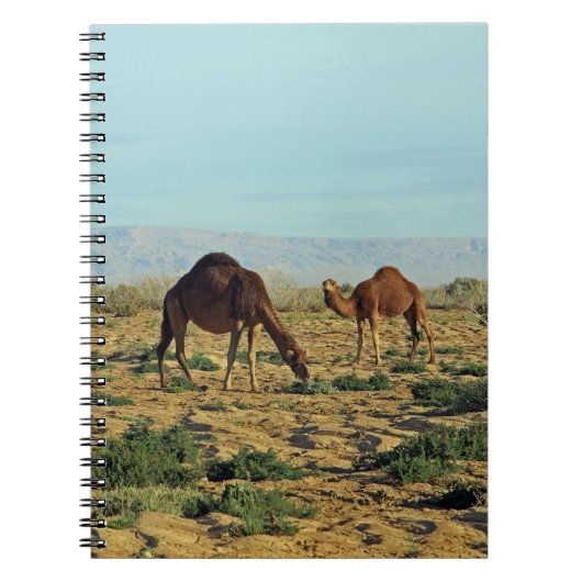 Carnet Camels, Tunisie (Devant)