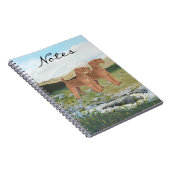 Carnet Campagne de Connemara (Côté Droit)