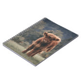 Carnet Campagne d'herbe d'automne de la vache de haute-te (Côté gauche)