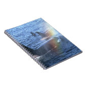 Carnet Canada, Colombie-Britannique, Johnstone Straight, (Côté Droit)