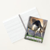 Carnet Canada Goos (Intérieur)
