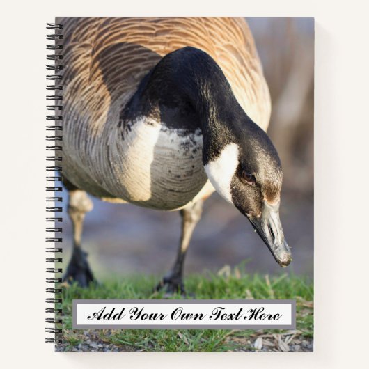 Carnet Canada Goos (Devant)