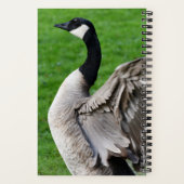 Carnet Canada Oie Flapping Wings Photo (Verso)