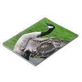 Carnet Canada Oie Flapping Wings Photo (Côté gauche)