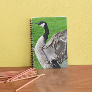 Carnet Canada Oie Flapping Wings Photo