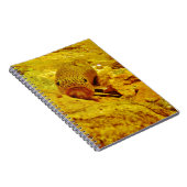 Carnet Canal en flux (Côté Droit)