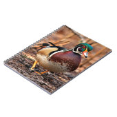 Carnet Canard à bois mâle dans les bois (Côté gauche)