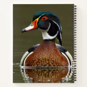 Carnet Canard à bois sur l'eau (Dos)