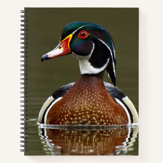 Carnet Canard à bois sur l'eau (Devant)