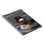 Carnet Canard à tête de tampon mou sur les eaux éclairées (Côté Droit)