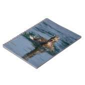 Carnet Canard avec le bec ouvert (Côté gauche)